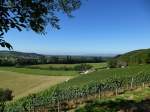 Blick von den Weinbergen im Glottertal/Schwarzwald in die Rheinebene, im Hintergrund die Berge des Kaiserstuhls, Sept.2013