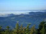 Blick vom 945m hohen Brandenkopf im mittleren Schwarzwald, die Herbstnebel aus der Rheinebene flieen in die Schwarzwaldtler, Okt.2010