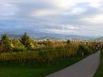 Herbsttag am Lehener Berg mit Blick ber Freiburg zum Schwarzwald, Okt.2013