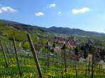 Feldberg im Markgräflerland, Blick über den Ort auf die Berge des südlichen Schwarzwaldes, April 2013