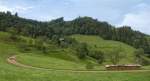 Wegelbach,Waldkirch.Der Weg zum Haus.10.08.2014.