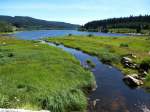 Schluchsee/Schwarzwald, Zuflu am Nordwestende, Juli 2014