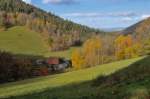    Elzach - Yach - Richtung Siebenfelsen - Schwarzwald.