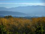 Blick bei herbstlichem Frhnebel vom Aussichtspunkt  Belvedere  im Schlopark von Hugstetten zum Schwarzwald, recht gut zu erkennen das Freiburger Mnster und die Trme auf dem 1492m hohen Feldberg,