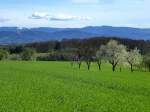 Blick von Freiamt auf den Schwarzwald, links das Feldberggebiet mit den letzten Schneeresten, April 2015