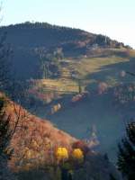 Blick vom Ort Aftersteg zum 1156m hohen Hasenhorn bei Todtnau im Hochschwarzwald, Nov.2015