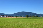 das weite Dreisamtal östlich von Freiburg, Aug.2013