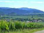 Teleblick vom Batzenberg zum Schwarzwald und zur Stadt Staufen mit Burgberg, Juni 2016