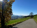 bei St.Peter im Schwarzwald, Nov.2015