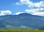 Blick aus der Rheinebene zum 1241m hohen Kandel, am Fu die Weinberge des Glottertales, Juli 2017