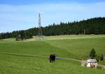 Landschaft im mittleren Schwarzwald, nahe Waldau, Sept.2009