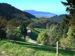 Schwarzwald bei Freiburg, Blick von Ort Horben zum 644m hohen Schönberg, Okt.2005