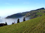 Schwarzwald, St.Ulrich-Geiersnest, Inversionswetterlage Herbst-Winter, Dez.2004