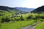 Blick ins Emmersbachtal, im Hintergrund Biberach im Kinzigtal, mittlerer Schwarzwald, Juli 2021