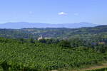 Blick auf den Weinort Tutschfelden, eingebettet in die Vorbergzone des Schwarzwaldes, Aug.2022