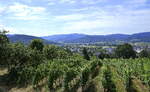 Denzlingen, Blick vom Mauracher Berg über den östlichen Stadtteil zum Schwarzwald mit dem Eingang zum Glottertal, Juli 2022