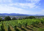 Denzlingen, Blick vom Mauracher Berg Richtung Süden über die Stadt, ganz links an den Schwarzwaldbergen der Ort Heuweiler, rechts am Horizont Freiburg mit dem Schönberg, Juli 2022
