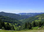 Blick vom 1156m hohen Hasenhorn bei Todtnau/Schwarzwald Richtung S�den ins Wiesental, Juni 2026