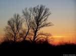 Nach dem Sonnenuntergang am Rande des Schwarzwaldes. Aufgenommen am 16.02.08.