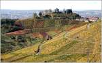 Weinberg-Landschaft im Stadtgebiet von Stuttgart. Oben rechts der Bildmitte sieht man die Grabkapelle auf dem Württemberg. Die Gebäude rechts anschließend sind Teil des kleinen Stadtteils Rotenberg. Darüber sind Stuttgarter Stadtgebiete um den Pragsattel zu erkennen. Links lugen die Schornstein des Kraftwerks Gaisburg über den Berg, dahinter geht der Blick über Ostheim bis zur Innenstadt. 

06.11.2005 (M)