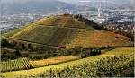 Stuttgarter Landschaften - 

Blick vom Württemberg über den Mönchberg ins Neckartal. Starker Konstrast des herbstlichen Weinberges vor der grauen Stuttgarter Industrielandschaft. 

06.11.2005 (M)