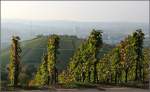 Landschaft der Großstadt -    Nur wenige Großstädte sind auch landschaftlich so abwechslungsreich wie Stuttgart: Im Süden und Westen der Stadt ausgedehnte Waldgebiete, im