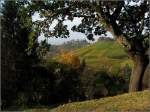 Blick zur Grabkapelle auf dem Württemberg.