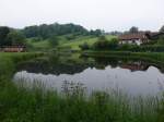 Dorfweiher von Marchetsreut im Bayr. Wald (24.05.2015)