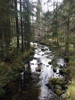 Fluss Schwarze Regen bei Schwibleinsberg (04.11.2017)