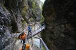 Almbachklamm im Berchtesgadener Land - Wenige Meter oberhalb des Eingangs ragen beiderseits der Klamm steile Felswände empor und führt der Weg über weite Strecken nur noch über Stege durch die Klamm. Aufnahme: Juli 2008.