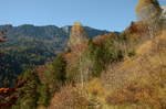 18. Oktober 2017: Oberhalb der Almbachklamm, Blick auf den Kleinen Rauhen Kopf.