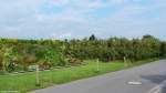 Bauerngarten und Obstplantage auf dem Weg zwischen Nonnenhorn und Wasserburg im Landkreis Lindau am Bodensee (Bayern, September 2013)