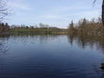 Am Ufer des Chiemsee bei Rimsting (02.04.2017)