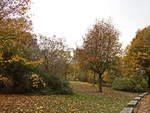 Blick im Park am Dutzendteich in Nürnberg am 03. November 2018.