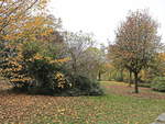 Herbstansicht am 03. November 2018 im Park am Dutzendteich in Nürnberg.