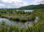 Biotop am Schnbrunner See (zwischen Schnbrunn und Reundorf), im Hintergrund Kloster Banz; 12.05.2012  