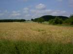 Im südlichen Steigerwald bei Markt Nordheim, Mittelfranken (19.06.2014)