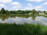 Dorfweiher von Liebenstadt (26.05.2016)