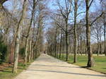 Blick in den Hofgarten der prächtige Residenzstadt Ansbach und Heimat von Kaspar Hausers am 14. März 2017.