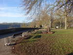 Park bei der Reichsburg in Rothenburg ob der Tauber (21.02.2021)