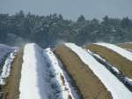 der winterliche Acker dampft in der Vormittagssonne bei Radersdorf