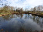 Fischweiher bei Künzing (21.11.2016)