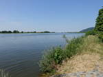 An der Donau bei Frengkofen, Niederbayern (02.06.2017)
