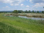 Kleiner See in den Donauauen bei Aholfing, Niederbayern (02.06.2017)