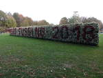 Hecke mit Blumen im Kurpark von Bad Füssing (20.10.2018)