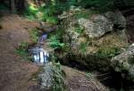 Der Krebsengraben Bach im Wald am 29.07.2008 (Pfarrkirchen) 