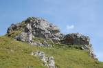 Ein Kuriosum: Normalerweise beherschen Rinder die Allguer Alpen, am Aggenstein jedoch findet man Schafe. Aufgenommen am 19.8.2009...