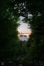 Blick durch dichtes Geäst auf die Marienbrücke und das Schloss Neuschwanstein.