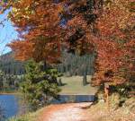 Herbst am Spitzingsee im bayrischen Oberland.