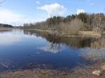 Weiher bei Erling, Lkr. Starnberg (12.04.2015)